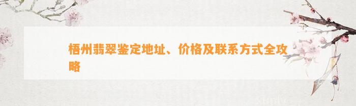 梧州翡翠鉴定地址、价格及联系方法全攻略