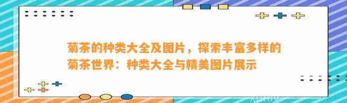 菊茶的种类大全及图片，探索丰富多样的菊茶世界：种类大全与精美图片展示