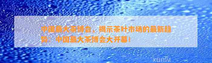 中国最大茶博会，揭示茶叶市场的最新趋势：中国最大茶博会大开幕！