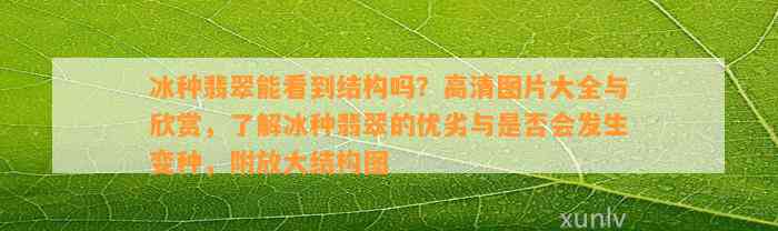 冰种翡翠能看到结构吗？高清图片大全与欣赏，熟悉冰种翡翠的优劣与是不是会发生变种，附放大结构图