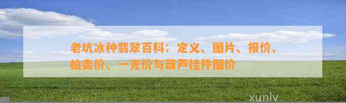 老坑冰种翡翠百科：定义、图片、报价、拍卖价、一克价与葫芦挂件图价