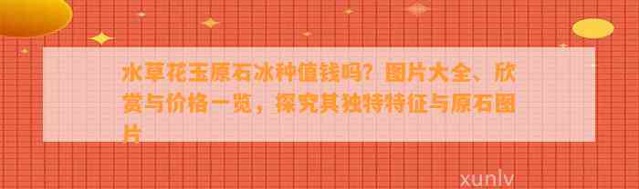 水草花玉原石冰种值钱吗？图片大全、欣赏与价格一览，探究其特别特征与原石图片