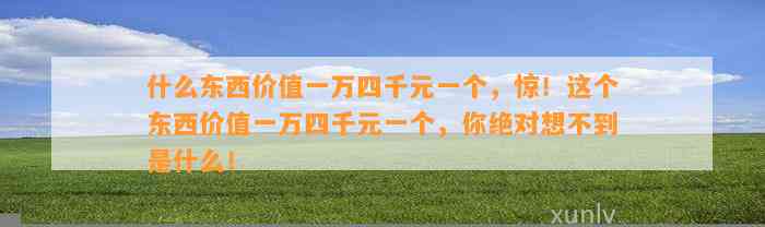 什么东西价值一万四千元一个，惊！这个东西价值一万四千元一个，你绝对想不到是什么！