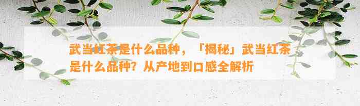 武当红茶是什么品种，「揭秘」武当红茶是什么品种？从产地到口感全解析