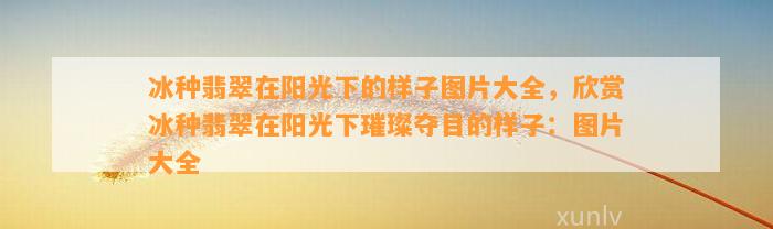 冰种翡翠在阳光下的样子图片大全，欣赏冰种翡翠在阳光下璀璨夺目的样子：图片大全