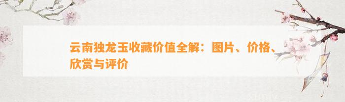 云南独龙玉收藏价值全解：图片、价格、欣赏与评价