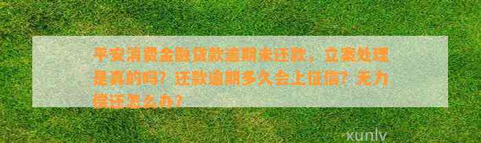 平安消费金融贷款逾期未还款，立案处理是真的吗？还款逾期多久会上征信？无力偿还怎么办？