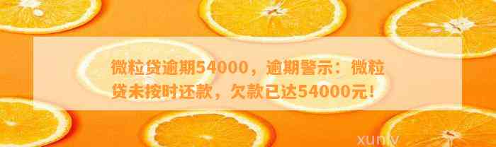 微粒贷逾期54000，逾期警示：微粒贷未按时还款，欠款已达54000元！