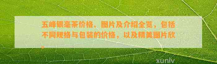 五峰银毫茶价格、图片及介绍全览，包含不同规格与包装的价格，以及精美图片欣。