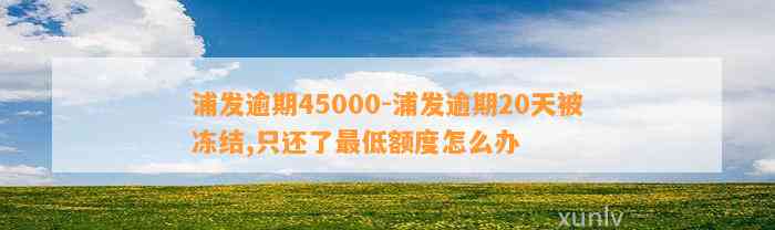 浦发逾期45000-浦发逾期20天被冻结,只还了最低额度怎么办