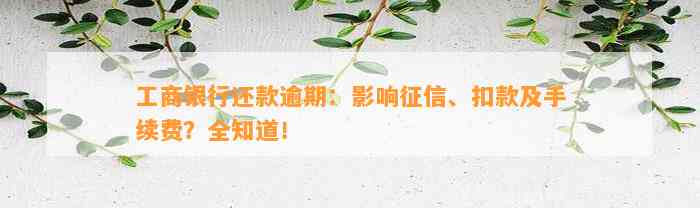 工商银行还款逾期：影响征信、扣款及手续费？全知道！