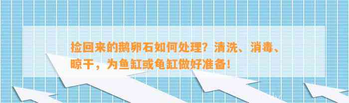 捡回来的鹅卵石怎样解决？清洗、消毒、晾干，为鱼缸或龟缸做好准备！