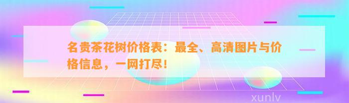 名贵茶花树价格表：最全、高清图片与价格信息，一网打尽！