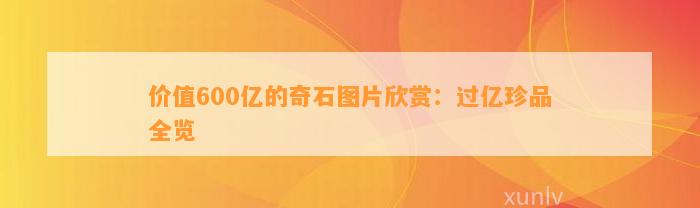 价值600亿的奇石图片欣赏：过亿珍品全览