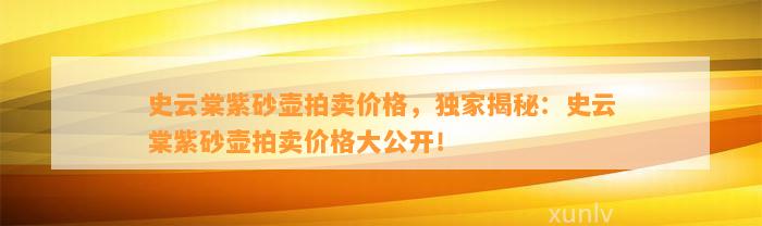 史云棠紫砂壶拍卖价格，独家揭秘：史云棠紫砂壶拍卖价格大公开！