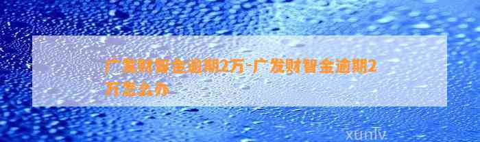 广发财智金逾期2万-广发财智金逾期2万怎么办