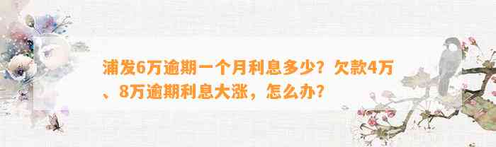 浦发6万逾期一个月利息多少？欠款4万、8万逾期利息大涨，怎么办？