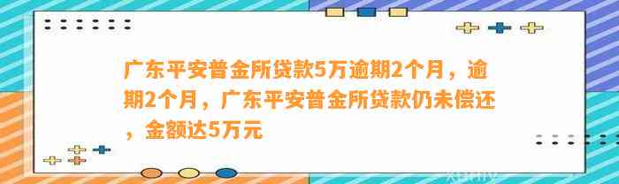 广东平安普金所贷款5万逾期2个月，逾期2个月，广东平安普金所贷款仍未偿还，金额达5万元