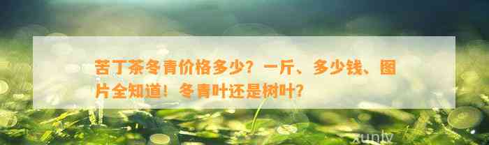 苦丁茶冬青价格多少？一斤、多少钱、图片全知道！冬青叶还是树叶？