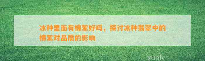 冰种里面有棉絮好吗，探讨冰种翡翠中的棉絮对品质的作用