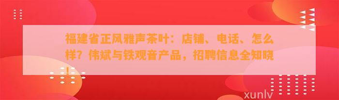 福建省正风雅声茶叶：店铺、电话、怎么样？伟斌与铁观音产品，招聘信息全知晓！