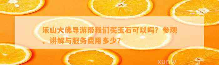 乐山大佛导游带咱们买玉石可以吗？参观、讲解与服务费用多少？