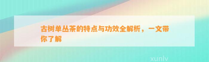 古树单丛茶的特点与功效全解析，一文带你了解