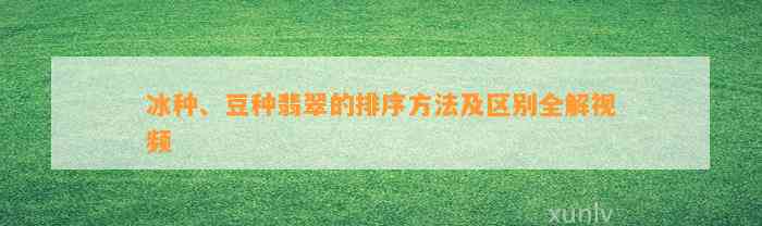 冰种、豆种翡翠的排序方法及区别全解视频