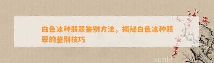 白色冰种翡翠鉴别方法，揭秘白色冰种翡翠的鉴别技巧