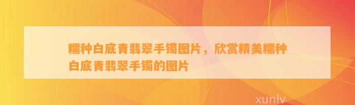 糯种白底青翡翠手镯图片，欣赏精美糯种白底青翡翠手镯的图片