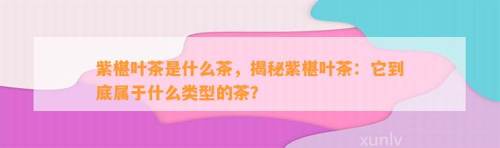 紫椹叶茶是什么茶，揭秘紫椹叶茶：它到底属于什么类型的茶？