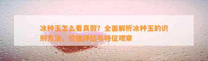 冰种玉怎么看真假？全面解析冰种玉的识别方法、价值评估与特征观察