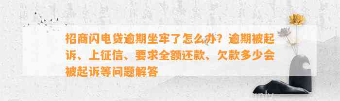 招商闪电贷逾期坐牢了怎么办？逾期被起诉、上征信、要求全额还款、欠款多少会被起诉等问题解答