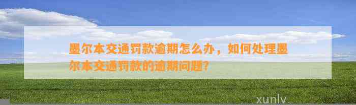 墨尔本交通罚款逾期怎么办，如何处理墨尔本交通罚款的逾期问题？