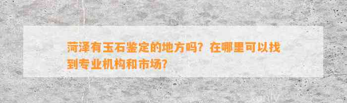 菏泽有玉石鉴定的地方吗？在哪里可以找到专业机构和市场？