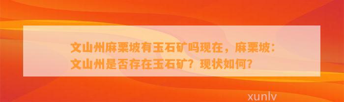 文山州麻栗坡有玉石矿吗现在，麻栗坡：文山州是不是存在玉石矿？现状怎样？