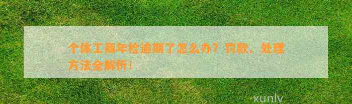 个体工商年检逾期了怎么办？罚款、处理方法全解析！