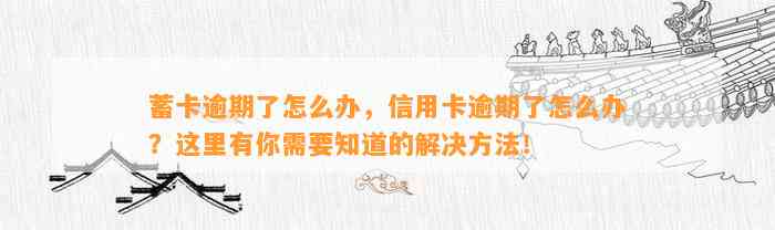 蓄卡逾期了怎么办，信用卡逾期了怎么办？这里有你需要知道的解决方法！