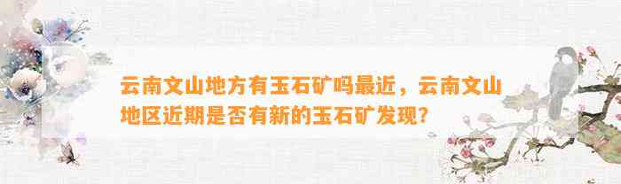 云南文山地方有玉石矿吗最近，云南文山地区近期是不是有新的玉石矿发现？