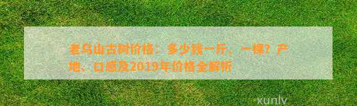 老乌山古树价格：多少钱一斤、一棵？产地、口感及2019年价格全解析