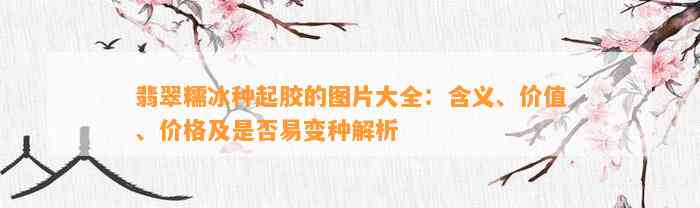 翡翠糯冰种起胶的图片大全：含义、价值、价格及是不是易变种解析