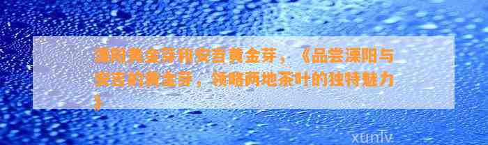 溧阳黄金芽和安吉黄金芽，《品尝溧阳与安吉的黄金芽，领略两地茶叶的特别魅力》