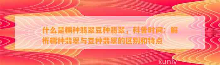 什么是糯种翡翠豆种翡翠，科普时间：解析糯种翡翠与豆种翡翠的区别和特点