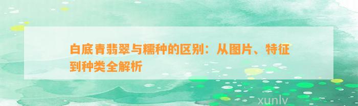 白底青翡翠与糯种的区别：从图片、特征到种类全解析