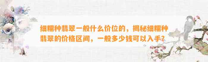 细糯种翡翠一般什么价位的，揭秘细糯种翡翠的价格区间，一般多少钱可以入手？