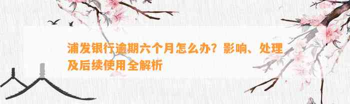 浦发银行逾期六个月怎么办？影响、处理及后续使用全解析