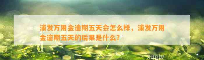 浦发万用金逾期五天会怎么样，浦发万用金逾期五天的后果是什么？