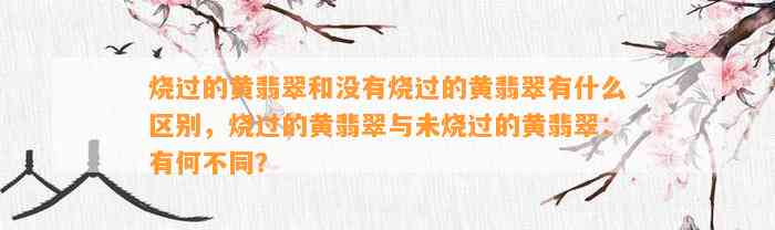 烧过的黄翡翠和不存在烧过的黄翡翠有什么区别，烧过的黄翡翠与未烧过的黄翡翠：有何不同？