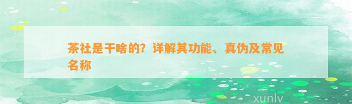 茶社是干啥的？详解其功能、真伪及常见名称