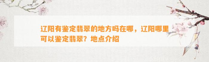 辽阳有鉴定翡翠的地方吗在哪，辽阳哪里可以鉴定翡翠？地点介绍